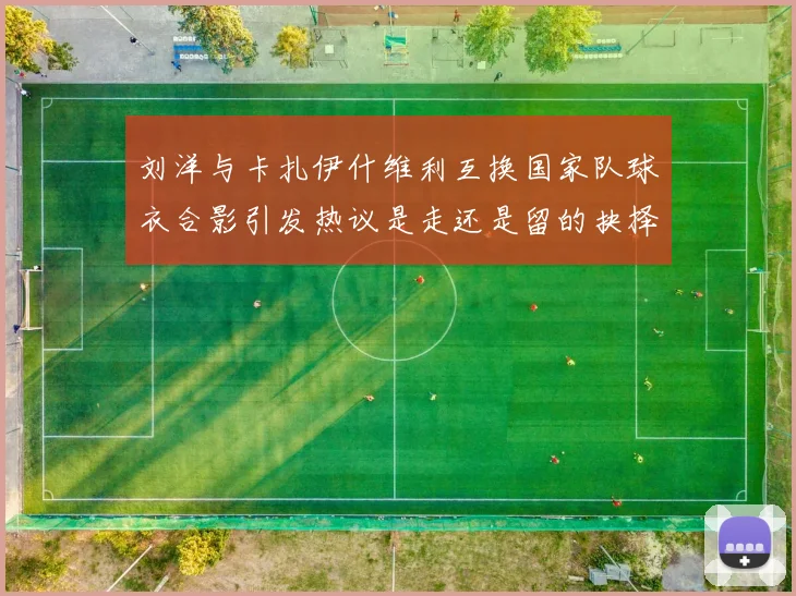 刘洋与卡扎伊什维利互换国家队球衣合影引发热议是走还是留的抉择时刻