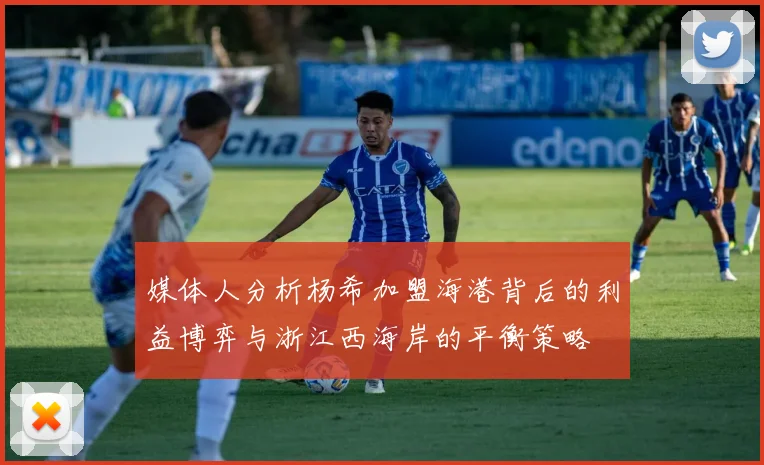 媒体人分析杨希加盟海港背后的利益博弈与浙江西海岸的平衡策略