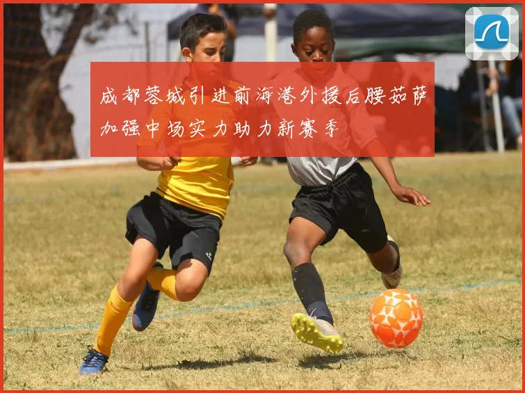 成都蓉城引进前海港外援后腰茹萨加强中场实力助力新赛季