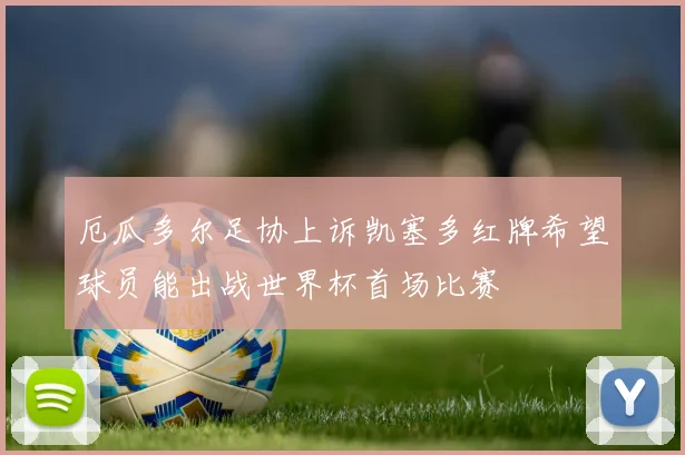 厄瓜多尔足协上诉凯塞多红牌希望球员能出战世界杯首场比赛