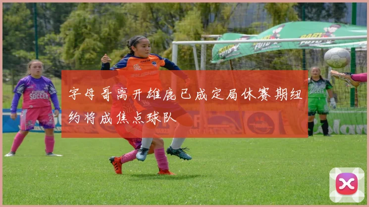 字母哥离开雄鹿已成定局休赛期纽约将成焦点球队