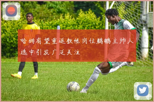 哈姆有望重返教练岗位鹈鹕主帅人选中引发广泛关注